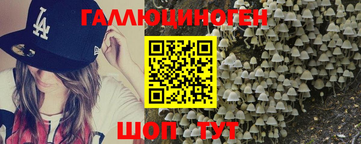 даркнет сайт  Псилоцибиновые грибы Psilocybine cubensis  Вход с VPN  Шадринск 