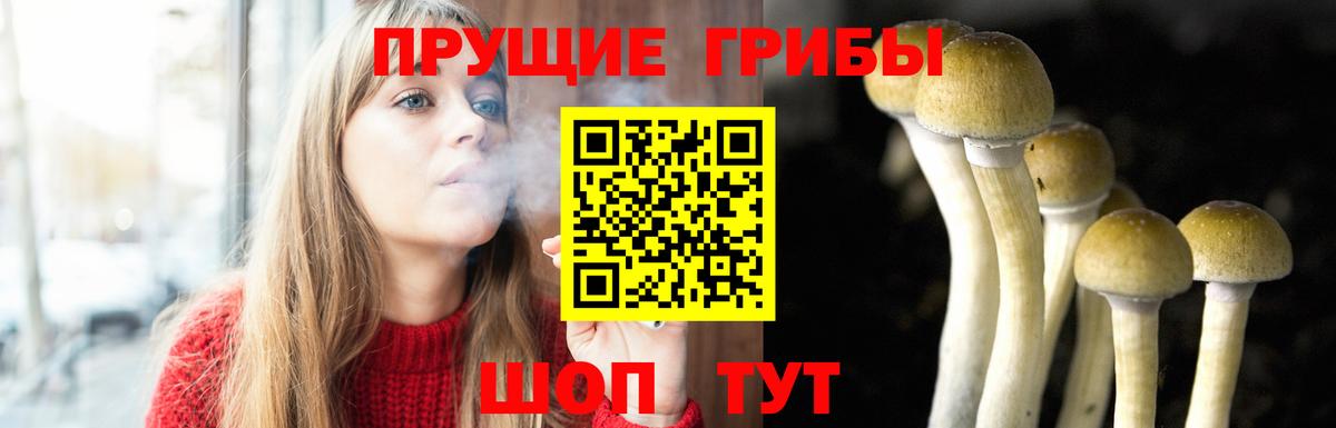 Галлюциногенные грибы Magic Shrooms Шадринск